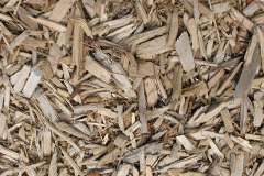 biomass boilers Crimond